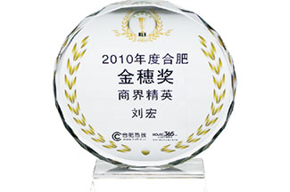  2010年度合肥金穗奖